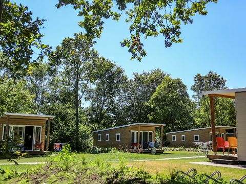 Camping Wedderbergen - Camping Westerwolde - Image N°52