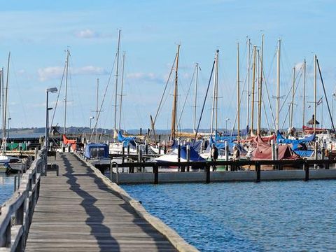 DanCenter Ferienpark Geltinger Bucht - Ostsee - Camping Schleswig-Holstein - Image N°3