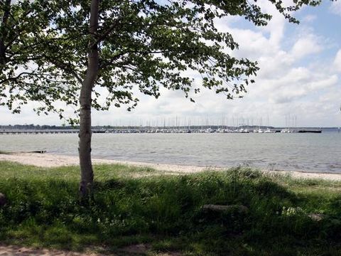 DanCenter Ferienpark Geltinger Bucht - Ostsee - Camping Schleswig-Holstein - Image N°8