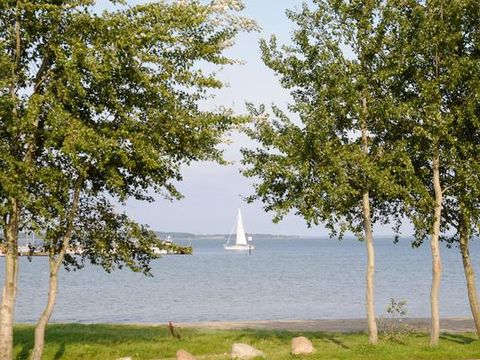 DanCenter Ferienpark Geltinger Bucht - Ostsee - Camping Schleswig-Holstein - Image N°9