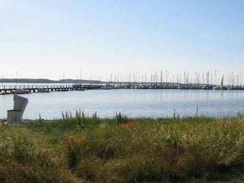 DanCenter Ferienpark Geltinger Bucht - Ostsee - Camping Schleswig-Holstein - Image N°11