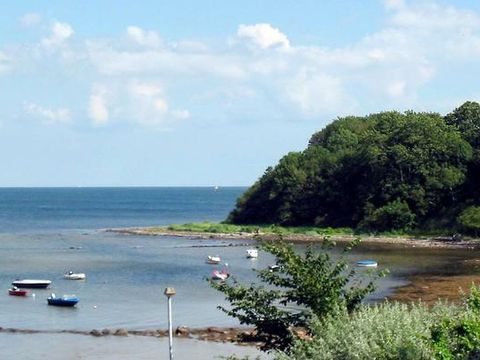 DanCenter Ferienpark Geltinger Bucht - Ostsee - Camping Schleswig-Holstein - Image N°7