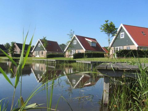 Vakantiepark Eigen Wijze - Camping Noordoostpolder - Image N°6