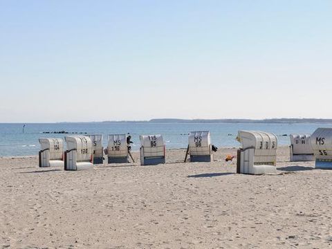 DanCenter Großenbrode - Fehmarnsund Ostsee - Camping Schleswig-Holstein - Image N°7