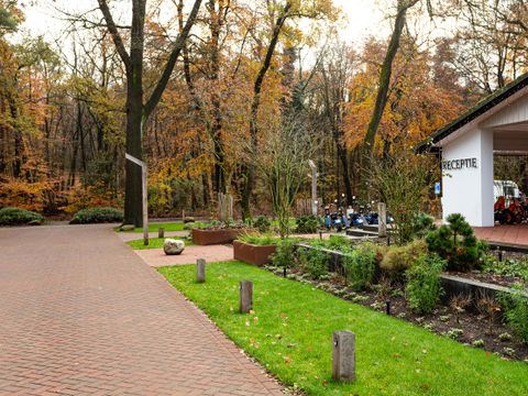 TopParken Bospark Ede - Camping Ede - Image N°31