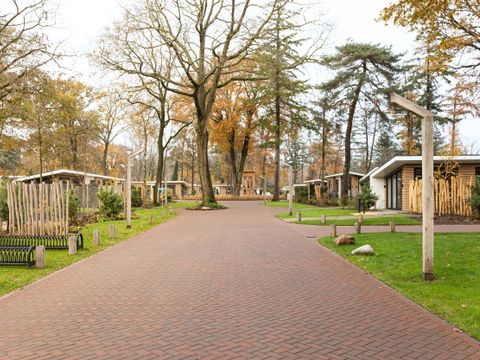 TopParken Bospark Ede - Camping Ede - Image N°37