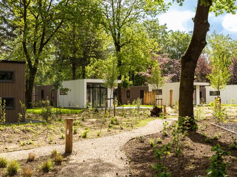 TopParken Bospark Ede - Camping Ede - Image N°42