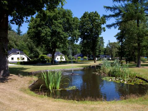 TopParken Bospark Ede - Camping Ede - Image N°44
