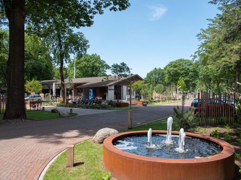 TopParken Bospark Ede - Camping Ede - Image N°30