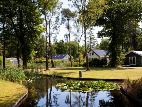 TopParken Bospark Ede - Camping Ede - Image N°45