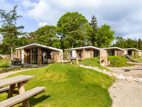 TopParken Bospark Ede - Camping Ede - Image N°35