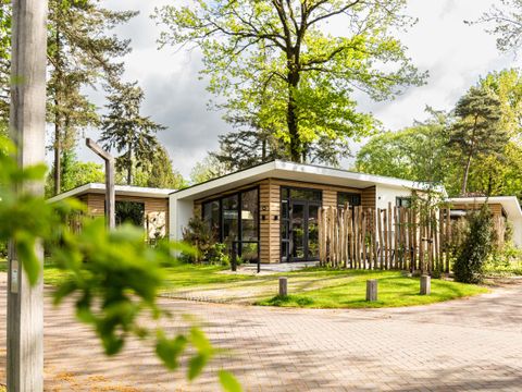 TopParken Bospark Ede - Camping Ede - Image N°36