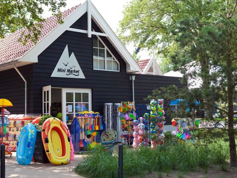 EuroParcs Bad Hoophuizen - Camping Apeldoorn - Image N°10