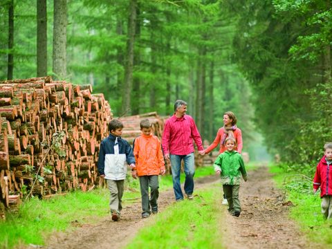Hof van Saksen - Camping Aa und Hunze - Image N°37