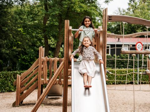 De Thijmse Berg - Camping Rhenen - Image N°12