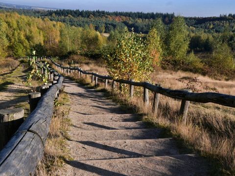 De Thijmse Berg - Camping Rhenen - Image N°3