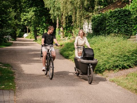 De Thijmse Berg - Camping Rhenen - Image N°16