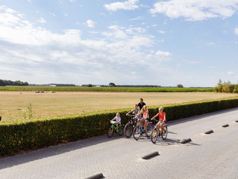 RCN Vakantiepark de Flaasbloem - Camping Goirle - Image N°32