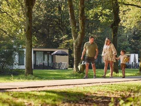 RCN Vakantiepark de Flaasbloem - Camping Goirle - Image N°26