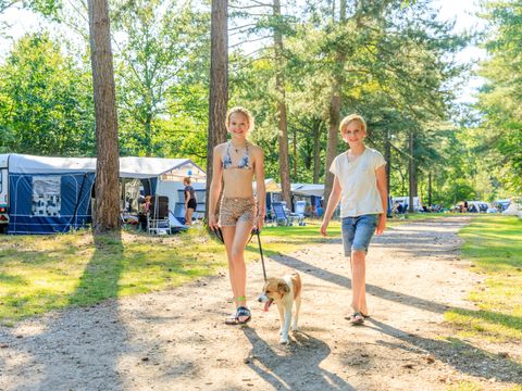 RCN Vakantiepark de Flaasbloem - Camping Goirle - Image N°37