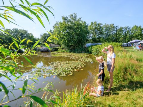 RCN Vakantiepark de Flaasbloem - Camping Goirle - Image N°34