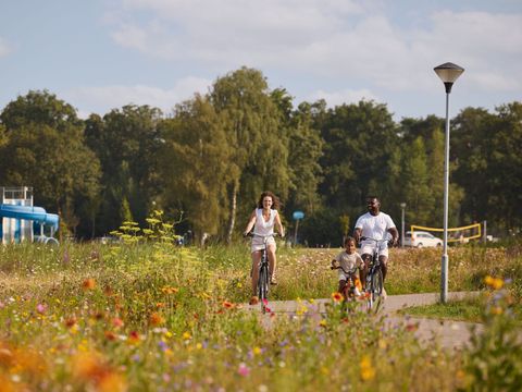 RCN Vakantiepark de Flaasbloem - Camping Goirle - Image N°38