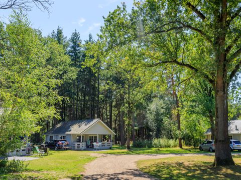 RCN Vakantiepark de Flaasbloem - Camping Goirle - Image N°31