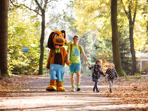 RCN Vakantiepark de Flaasbloem - Camping Goirle - Image N°18