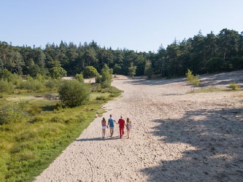 RCN Vakantiepark het Grote Bos - Camping Utrechtse Heuvelrug - Image N°17
