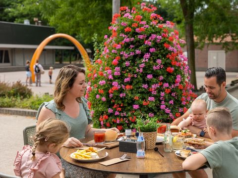 RCN Vakantiepark het Grote Bos - Camping Utrechtse Heuvelrug - Image N°25