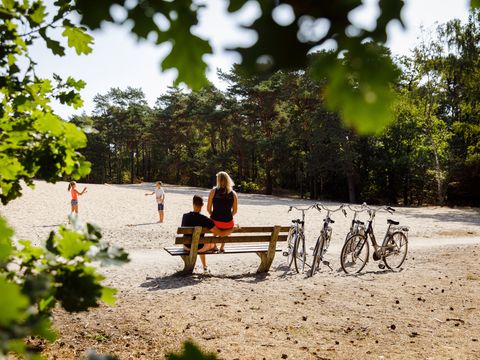 RCN Vakantiepark het Grote Bos - Camping Utrechtse Heuvelrug - Image N°16