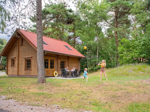 RCN Vakantiepark het Grote Bos - Camping Utrechtse Heuvelrug - Image N°20