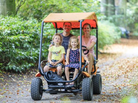 RCN Vakantiepark het Grote Bos - Camping Utrechtse Heuvelrug - Image N°15