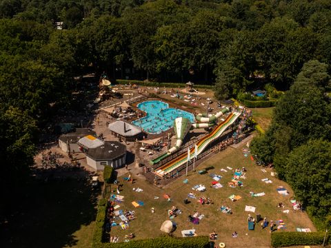 RCN Vakantiepark het Grote Bos - Camping Utrechtse Heuvelrug - Image N°4