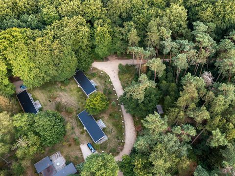 RCN Vakantiepark het Grote Bos - Camping Utrechtse Heuvelrug - Image N°30