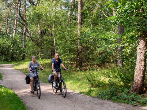 RCN Vakantiepark het Grote Bos - Camping Utrechtse Heuvelrug - Image N°18