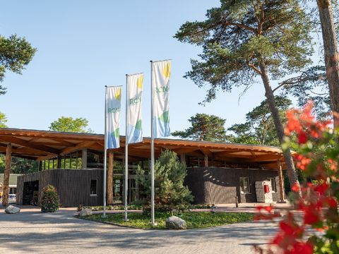 RCN Vakantiepark het Grote Bos - Camping Utrechtse Heuvelrug - Image N°8
