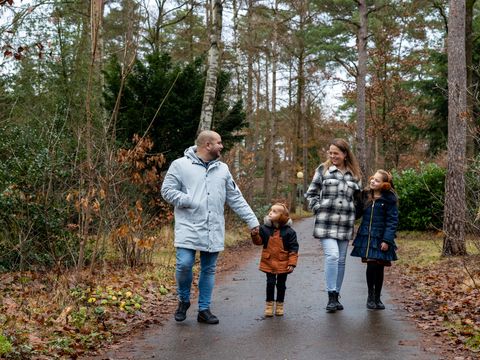 RCN Vakantiepark het Grote Bos - Camping Utrechtse Heuvelrug - Image N°31