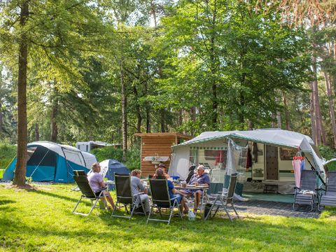 RCN Vakantiepark het Grote Bos - Camping Utrechtse Heuvelrug - Image N°22
