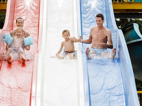 RCN Vakantiepark De Schotsman - Camping Beveland-Nord - Image N°6