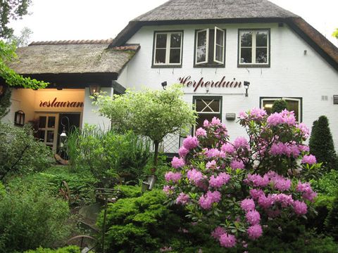 Hogenboom Vakantiepark Herperduin - Camping Oss - Image N°3