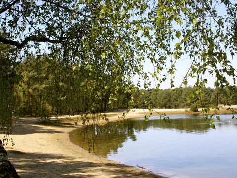 Hogenboom Vakantiepark Herperduin - Camping Oss - Image N°30