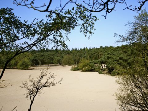 Hogenboom Vakantiepark Herperduin - Camping Oss - Image N°27