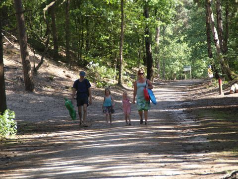 Hogenboom Vakantiepark Herperduin - Camping Oss - Image N°24