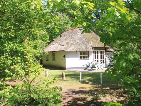 Hogenboom Vakantiepark Herperduin - Camping Oss - Image N°43