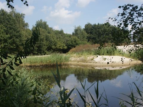 Hogenboom Vakantiepark Herperduin - Camping Oss - Image N°32