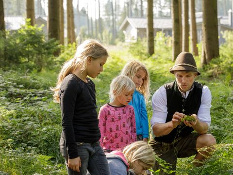 Center Parcs Park Allgäu - Camping Bade-Wurtemberg - Image N°56