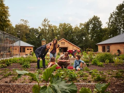 Center Parcs Park Allgäu - Camping Bade-Wurtemberg - Image N°59