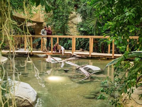 Center Parcs Park Allgäu - Camping Bade-Wurtemberg - Image N°43