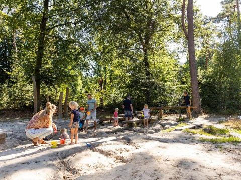 Vakantiepark De Norgerberg - Camping Noordenveld - Image N°12